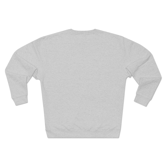 Galactic 9-to-5: Interstellar Scientist Premium Sweatshirt