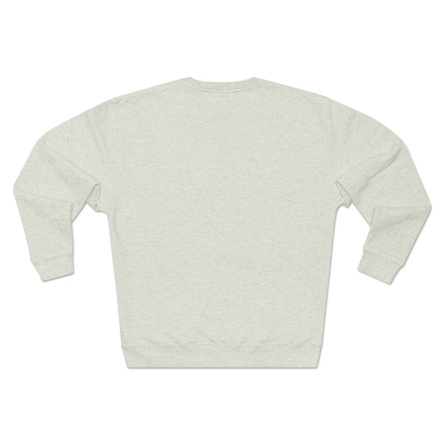 Galactic 9-to-5: Interstellar Scientist Premium Sweatshirt